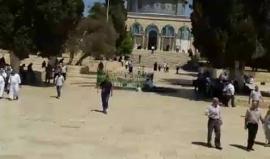 شاهد| #بث_مباشر من #المسجد_الاقصى المبارك الآن ..