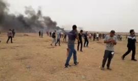 #مباشر بدء إشعال إطارات السيارات شرق خانيونس