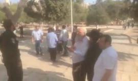 #شاهد عشرات المستوطنين يقتحمون المسجد الأقصى المبارك