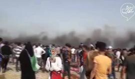 #فيديو المتظاهرون يرجعون قنابل الغاز صوب جنود الاحتلال شرق خانيونس جنوب القطاع