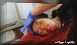 #شاهد .. شهيدة الجمعه اليتيمة في رمضان سارة داود عطا طرايرة المرأة الحامل التي أعدمت بدم بارد برصاص قوات الاحتلال صباح اليوم في المسجد الإبراهيمي في الخليل . 

مونتاج حازم مزيد