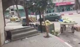 #فيديو تواصل المواجهات مع الاحتلال في الخليل ضمن الرفض الشعبي لاعلان ترمب القدس عاصمة ل"اسرائيل"