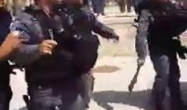 #شاهد شجاعة المرابطين في الأقصى .. أمام غطرسة المدججين بالسلاح !