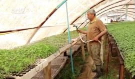 أهالي الغوطة الشرقية يكسرون الحصار باستخدام البيوت البلاستيكية في الزراعة