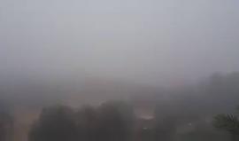 فيديو للضباب الكثيف الذي غطى قطاع غزة صباح اليوم