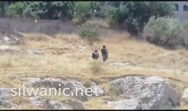 #شاهد| جانب من المواجهات المندلعة في بلدة سلوان بـ #القدس المحتلة .