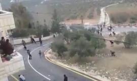 #شاهد .. من مواجهات اليوم في بلدة تقوع شرقي بيت لحم