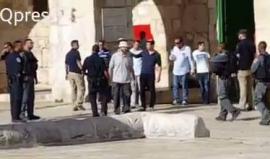 #شاهد مستوطنون يقتحمون المسجد الأقصى المبارك
