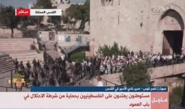 #شاهد #مباشر قوات الاحتلال تستبيح منطقة باب العامود بالقدس المحتلة مع احتفالات المستوطنين بذكرى احتلال الشطر الشرقي من المدينة