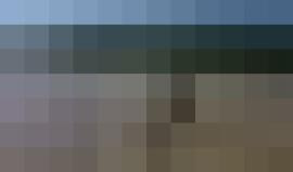 أنثى "تمساح المياه المالحة" في نهر أديلايد جنوب #أستراليا تحاول الظفر بالطعام باستخدام ذيلها الذي يتألف من عضلات قوية تمكنها من دفع جسدها كاملاً للأعلى

الفيديو: Trevor Frost