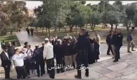 #شاهد مجموعات من المستوطنين تدنس باحات المسجد الأقصى المبارك بحماية أمنية مشددة