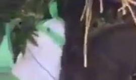 فيديو لمعمل المخدرات التي ضبط داخل منزل في دورا جنوب الخليل

تصوير: مشهور الوحواح