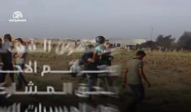 الطواقم العاملة في مخيمات العودة تواصل عملها للأسبوع الـ 17 على التوالي
(فلسطين لايف)