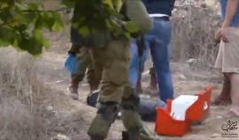 المشاهد الأولى لاستشهاد شاب فلسطيني برصاص جيش الاحتلال في بلدة بيت أمر شمال الخليل المحتلة 
تصوير محمد عياد