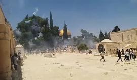 #شاهد عشرات القنابل الصوتية أطلقتها قوات الاحتلال لتفريق المصلين وإجبارهم على مغادرة المسجد الأقصى