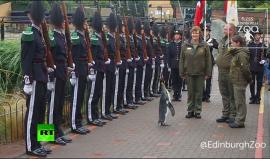 #شاهد ترقية بطريق إلى رتبة بريجادير في حديقة حيوانات إدنبره!

في حفل خاص، وقف جنود من حرس ملك النرويج يرتدون زيهم الرسمي، بانتظار أن يستعرضهم.. طائر بطريق.

وجرى تكريم السير نيلز أولاف -وهو بطريق ملكي مقيم في حديقة حيوانات إدنبره- بمنحه رتبة بريجادير أثنا