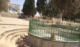 المسجد فارغ تماما .. 
#مباشر : المصلون يلتزمون بقرار المرجعيات الدينية بالقدس المحتلة بعدم الصلاة في #المسجد_الاقصى وعوضا عن ذلك الصلاة والتظاهر على أبواب المسجد، رفضاً لوضع سلطات الاحتلال ابواب الكترونية وكاميرات مراقبة. 
#جمعة_الأقصى