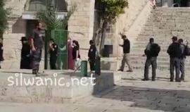 #شاهد مستوطنون يهود يقتحمون المسجد الأقصى منذ صباح اليوم