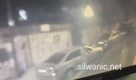 #شاهد عشرات المستوطنين نظموا مسيرة استفزازية في بلدة سلوان بالقدس المحتلة في ذكرى "نزول التوارة" وسط اعتداء على ممتلكات المقدسيين