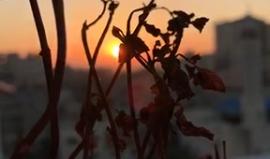 شروق الشمس صبيحة عيد الفطر السعيد في غزة