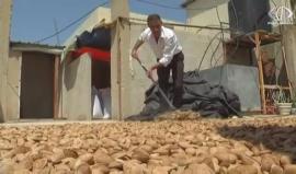 الاحتلال يغرق السوق الفلسطيني بلوز المستوطنات الاسرائيلية