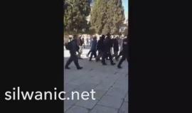 فيديو لـ اقتحام المستوطنين باحات المسجد الاقصى المبارك صباح اليوم