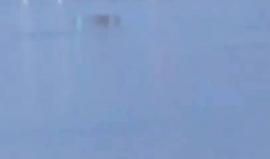 #شاهد لحظة سقوط طائرة هليكوبتر في نهر بمدينة #نيويورك ما أدى لمصرع 5 أشخاص