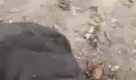 يحتوي على مشاهد قاسية .. أكثر من 10 شهداء جراء قصف طائرات حربية تابعة للنظام السوري على مخيم للنازحين بريف #إدلب