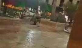 فيديو من من اقتحام قوات الاحتلال ساحة المهد في بيت لحم

حيث اقتحم الجيش شارع الصف والمسلخ ومخيم العزة ومناطق أخرى في بيت لحم وداهم أحد المنازل لعائلة الهريمي بواد معالي وسلم الجنود بلاغ لأحد الشبان وتصدى لهم الأهالي