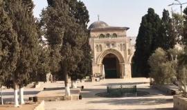 المسجد الاقصى فارغ تماما .. 
#مباشر : رفضاً لعدم ازالة سلطات الاحتلال ممرات مشاة حديدية ووضعه لجسور حديدية لكاميرات المراقبة.. المصلون يلتزمون بقرار المرجعيات الدينية بالقدس المحتلة بعدم الصلاة في #المسجد_الاقصى وعوضا عن ذلك الصلاة والتظاهر على أبواب المس