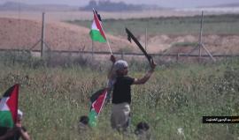 #شاهد قصيدة انتفاضة وطن ... 
#مسيرة_العودة_الكبرى
كلمات و القاء وفاء المبيض 
تصوير و مونتاج عبد الرحمن الكحلوت