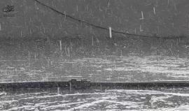 #شاهد | تطاير ألواح الصفيح (الزينكو) من أسطح المباني جراء رياح شديدة أثناء الأمطار الغزيرة على غزة اليوم.