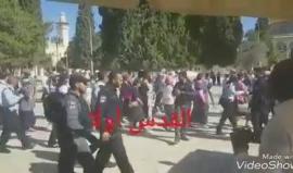 مستوطنون يقتحمون باحات المسجد الاقصى بحماية أمنية