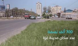 #شاهد : #فيديو : أرقام وتفاصيل عن النفايات في مدينة غزة