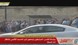 #شاهد #مباشر المرابطون يتجمعون أمام باب الأسباط قرب الأقصى لأداء صلاة العصر .