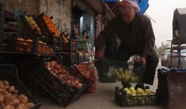 آلاف المهجرين السوريين يسعون في إدلب لتأمين قوت العيش
تقرير وكالة قاسيون