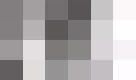 #فيديو من مكان إطلاق النار على الشاب قرب مستوطنة "كريات أربع" في الخليل