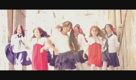 #شاهد | العرس المقدسي " عمل مشترك فلسطيني جزائري "