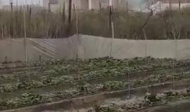 جرافات الاحتلال تهدم منزلين في قلنسوة بالداخل المحتل بزعم البناء دون ترخيص