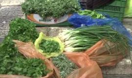 توسعة حاجز قلنديا شمال القدس المحتلة تقرير دانا أبوشمسية