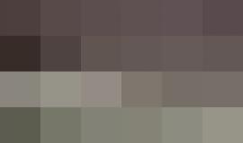 #فيديو إعلان جزيرة سقطرى في اليمن "منكوبة" بفعل "إعصار ماكونو"