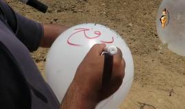 #شاهد.. اندلاع حرائق بمحيط "كيبوتس حوليت" شرق محافظة #رفح بواسطة بالونات حارقة.