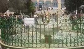 #مباشر.. خطبة وصلاة الجمعة من المسجد الاقصى المبارك بالعاصمة الفلسطينية المحتلة.