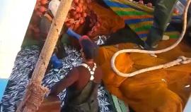 #شاهد صيد وفير في بحر عكا شمال فلسطين المحتلة .