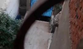 صور انفجار ضخم ناجم عن انفجار سيارة مفخخة استهدفت كمين المطافي التابع للجيش المصري في العريش أدى الهجوم الى سقوط 6 قتلى وأكثر من 10 جرحى