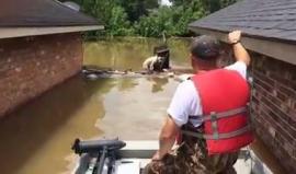 #شاهد فيضانات جراء مياه الأمطار في ولاية لويزيانا أمريكية