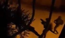 #فيديو لحظة اعتقال قوات الاحتلال للشاب وائل السحو من منزله في بلدة قباطية قضاء جنين فجر اليوم