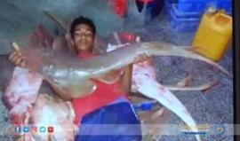 #شاهد الاحتلال يقتل طفلاً في عرف القوانين الدولية .. الصياد إسماعيل أبو ريالة 
تقرير: هنادي نصر الله