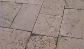 مجموعة كبيرة من المستوطنين يقتحمون باحات المسجد الأقصى المبارك قبل قليل، بحماية شرطة الاحتلال.