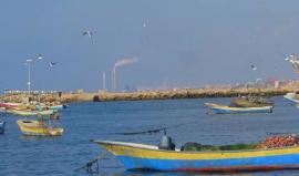 جولة في ميناء غزة